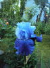 DSC01023