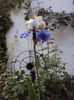 DSC00931