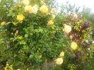 20160521_071512