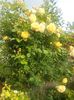 20160521_071456