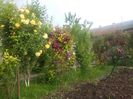 20160521_071349