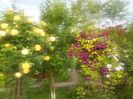 20160521_071211