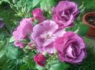 20160521_071055