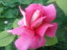 20160521_070955