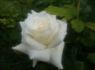 20160521_070930