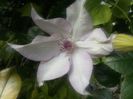 20160521_070904
