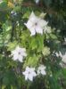 20160521_070852