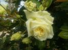 20160521_070636