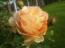 20160521_070621