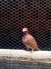IMG_20160521_132155