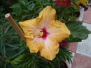 P1260847