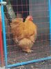 20160516_173625