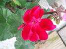 DSCN9265