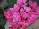 DSCN9266