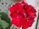 DSCN9268
