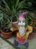 DSCN9269