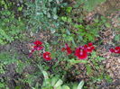DSCN9274