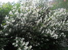 DSCN9280
