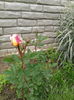 IMG_20160515_144820