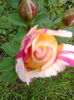 IMG_20160516_163808