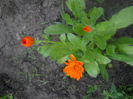 DSCN9349