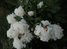DSCN9353