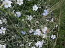 DSCN9354