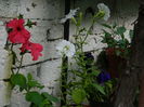 DSCN9044