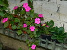 DSCN9045