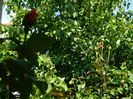 DSCN9072