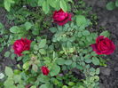 DSCN9327