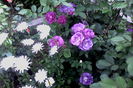 IMG_20160521_195958