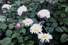 IMG_20160521_195947