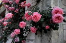 IMG_20160520_080848