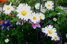 IMG_20160520_081050
