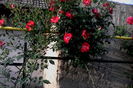 IMG_20160520_080442