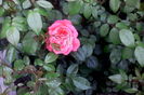 IMG_20160521_195900