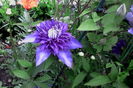 IMG_20160520_075723