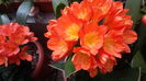 20160521_101637