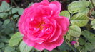 20160521_102514