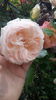 20160521_101705