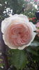 20160520_193241