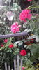 20160520_192700