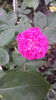 20160520_192548