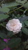 20160520_192230
