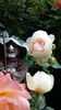 20160520_092713