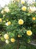 20160522_073247