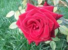 20160522_073224