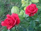 20160522_073214