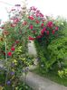 20160522_073130